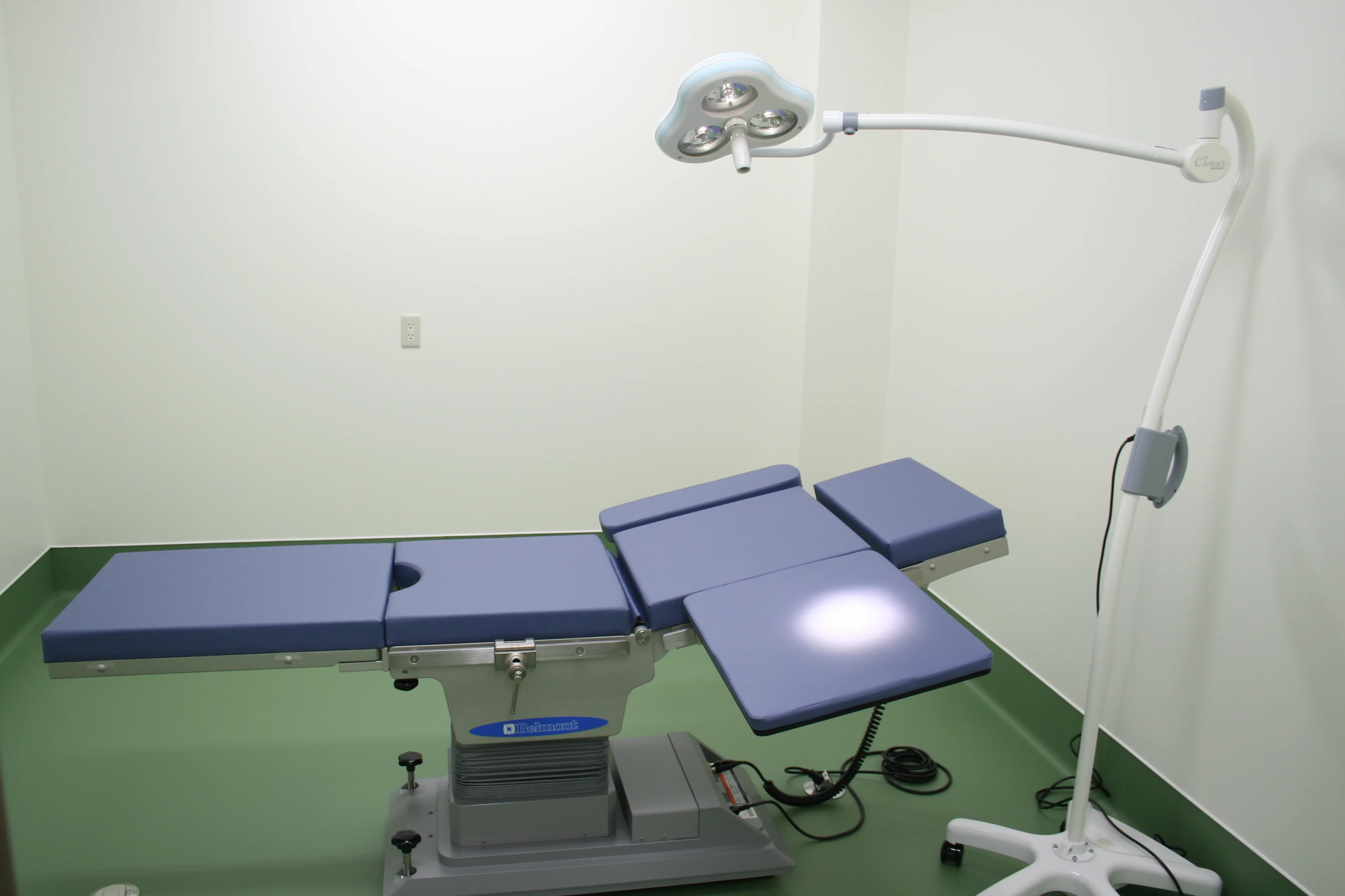 �I�y���ʐ^